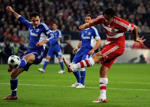 但凭借顽强 但凭借顽强