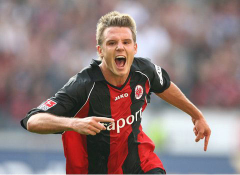 培养的循环 培养的循环