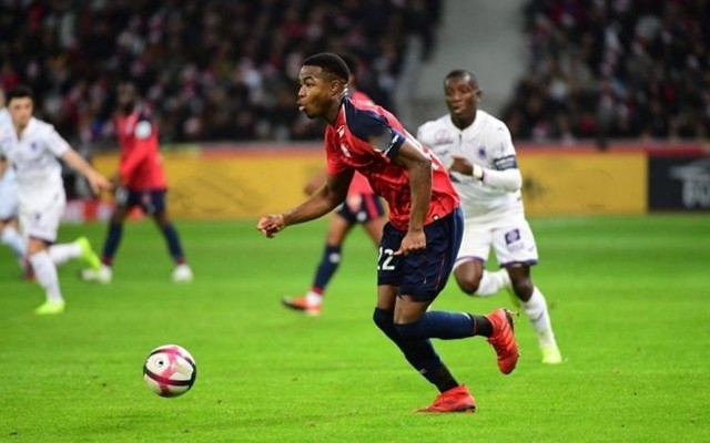 探讨这位羽 探讨这位羽